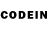 Псилоцибиновые грибы GOLDEN TEACHER TheFallBR