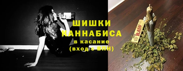ГАЛЛЮЦИНОГЕННЫЕ ГРИБЫ Инсар
