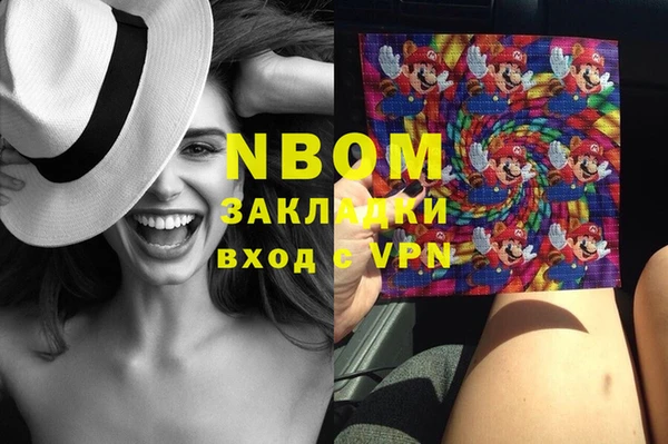 ГАЛЛЮЦИНОГЕННЫЕ ГРИБЫ Инсар