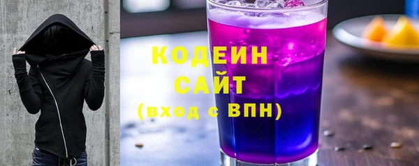 ГАЛЛЮЦИНОГЕННЫЕ ГРИБЫ Инсар