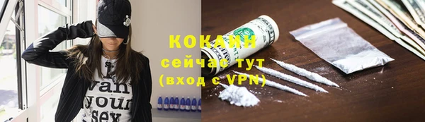 ГАЛЛЮЦИНОГЕННЫЕ ГРИБЫ Инсар