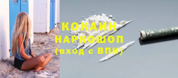 ГАЛЛЮЦИНОГЕННЫЕ ГРИБЫ Инсар