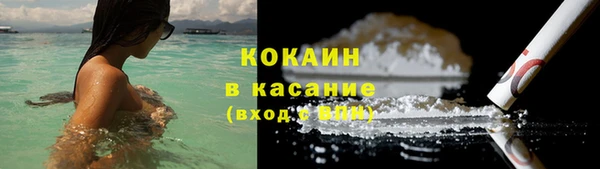 ГАЛЛЮЦИНОГЕННЫЕ ГРИБЫ Инсар
