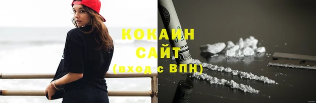 ГАЛЛЮЦИНОГЕННЫЕ ГРИБЫ Инсар