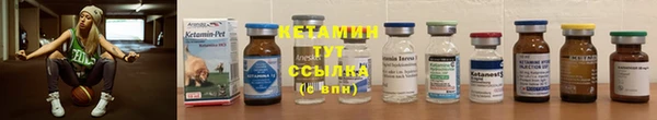 ГАЛЛЮЦИНОГЕННЫЕ ГРИБЫ Инсар