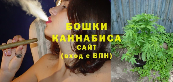 ГАЛЛЮЦИНОГЕННЫЕ ГРИБЫ Инсар