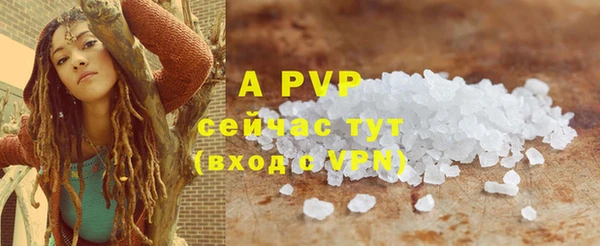 прущая мука Иннополис