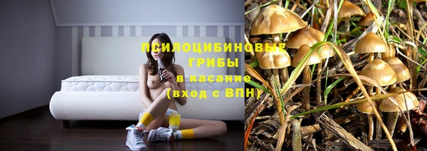 дживик Зерноград
