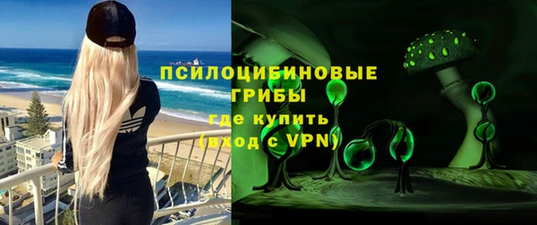ГАЛЛЮЦИНОГЕННЫЕ ГРИБЫ Инсар