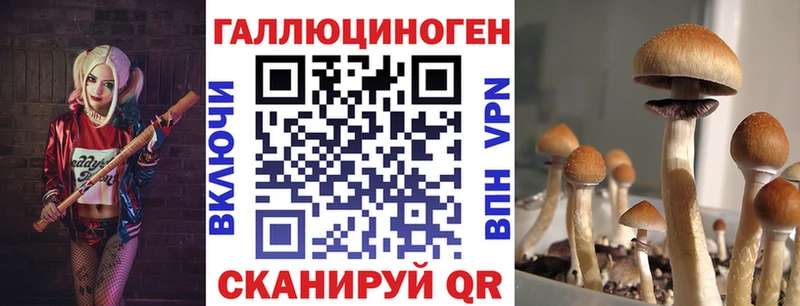 Галлюциногенные грибы Psilocybine cubensis  Купить  Полевской 